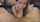 What's the name of this porn star?