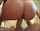 Who is she and scene please