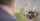 blacked black cuckold