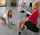 twistys