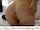 teen pussy blonde amateur ass