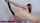 What's the name of this porn star?