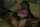What's the name of this porn star?