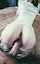 teamskeet