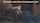 Where can I find this video?