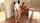 freeuse r18 r18.com