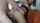 tattoo latina cumshot