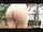 teacher r18