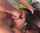 gagging blowjob evilangel