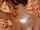 blowjob oral sex amateur