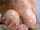 milf bangbros