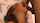 What's the name of this porn actor?