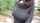 What's the name of this porn actor?
