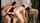 orgy
