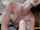 webcam amateur hd