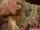 oral sex blowjob vaginal sex