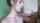 What's the name of this porn actor?