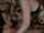 beauty triple penetration orgy