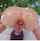 brazzers