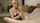 What's the name of this porn actor?