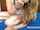 masturbation solo girl caucasian