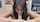 blowjob passionhd