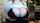 What's the name of this porn star?