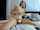 masturbate webcam amateur