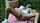 masturbation amateur