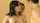 What's the name of this porn star?