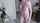 What's the name of this porn star?