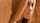 blond nude teen