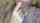 tease teen blonde