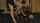 What's the name of this porn actor?
