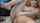 What's the name of this porn star?
