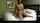 clips4sale