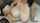 What's the name of this porn actor?