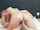 couple blonde oral sex
