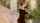 What's the name of this porn actor?