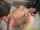 teen licking vagina oral sex
