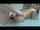 What's the name of this porn star?