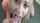 What's the name of this porn actor?