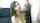 webcam teen amateur