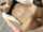 oral sex licking vagina blowjob