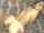 teen big cock vaginal sex