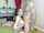 anal blowjob oral sex