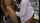 What's the name of this porn actor?