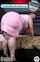 bbw skirt model