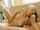 jerking couple handjob