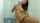 brunette babe shower